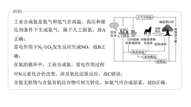 新高考化学一轮复习精品课件 第5章 第27讲 氮及其化合物的转化关系 (含解析)第6页