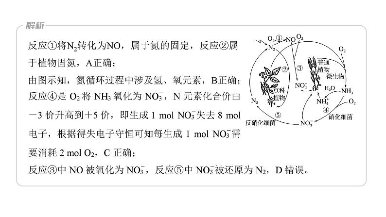 新高考化学一轮复习精品课件 第5章 第27讲 氮及其化合物的转化关系 (含解析)第8页