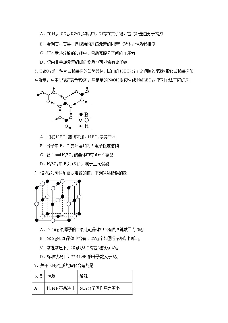 3.4.2氢键同步练习-苏教版高中化学选择性必修2第2页