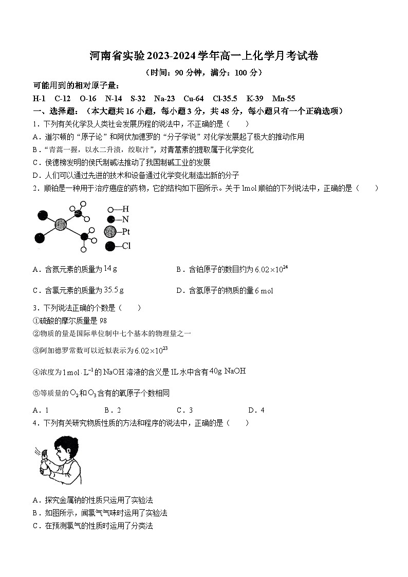 2024河南省实验中学高一上学期10月月考试题化学含答案01