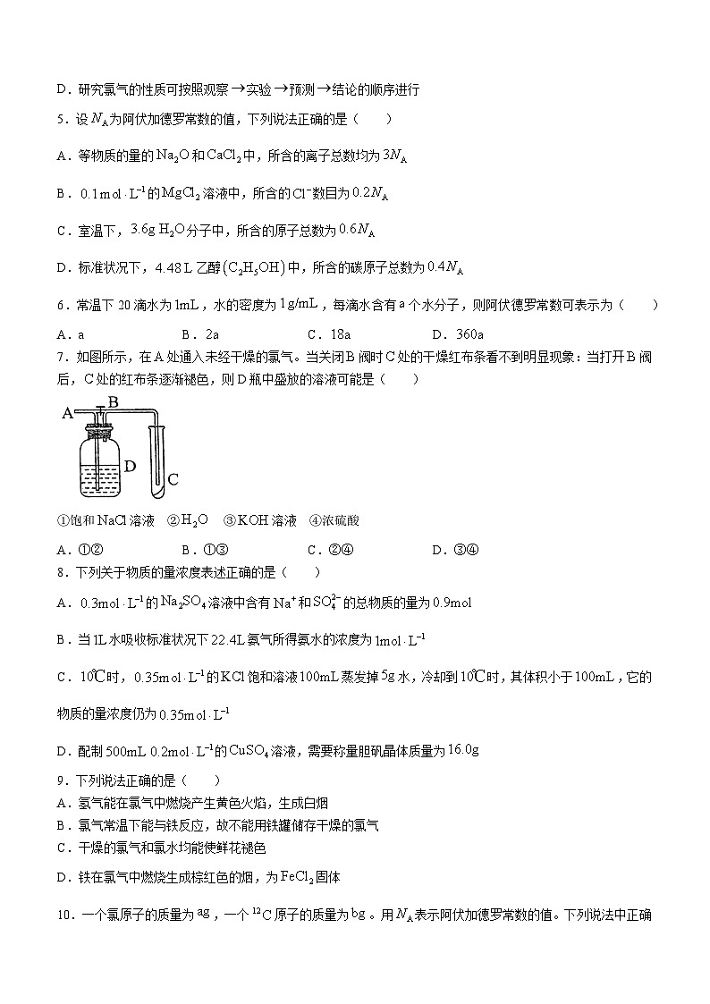 2024河南省实验中学高一上学期10月月考试题化学含答案02