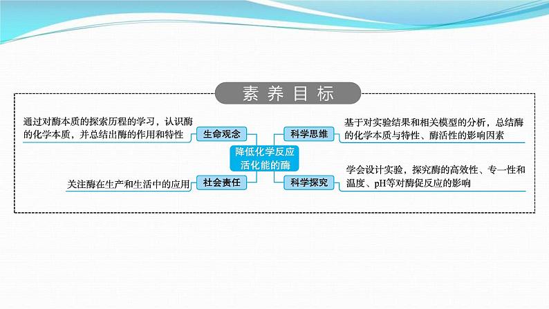 新高考生物一轮复习讲练课件:第7讲 降低化学反应活化能的酶(含解析)第2页
