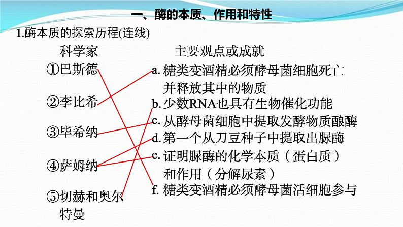 新高考生物一轮复习讲练课件:第7讲 降低化学反应活化能的酶(含解析)第3页