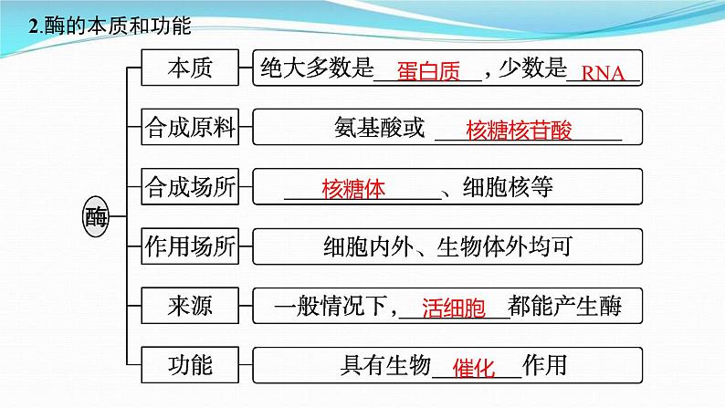 新高考生物一轮复习讲练课件:第7讲 降低化学反应活化能的酶(含解析)第4页