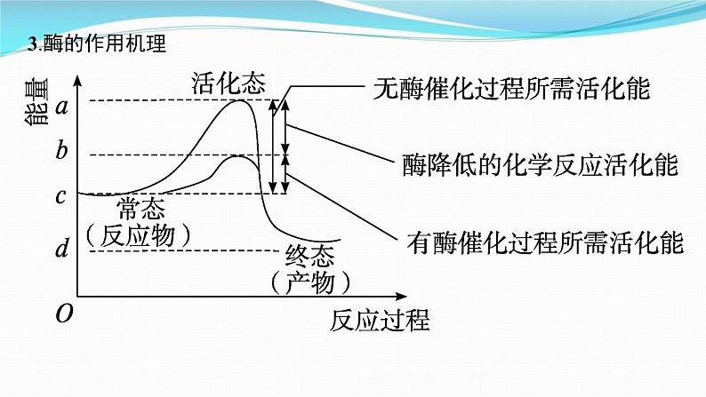新高考生物一轮复习讲练课件:第7讲 降低化学反应活化能的酶(含解析)第5页