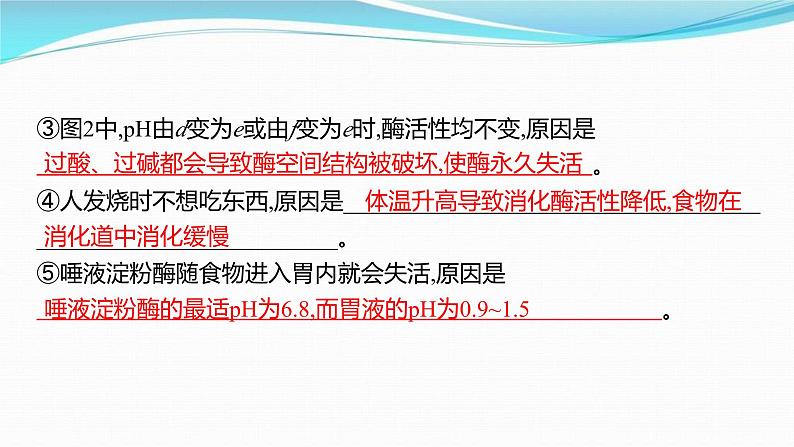 新高考生物一轮复习讲练课件:第7讲 降低化学反应活化能的酶(含解析)第8页