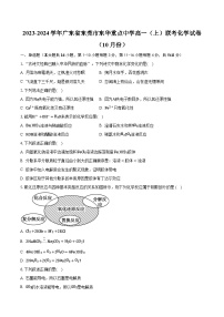2023-2024学年广东省东莞市东华重点中学高一（上）联考化学试卷（10月份）（含解析）