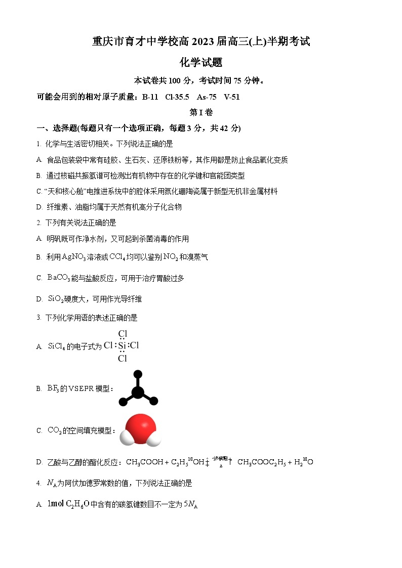 【期中真题】重庆市育才中学校2022-2023学年高三上学期期中考试化学试题.zip01