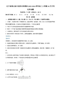 2024重點(diǎn)高中沈陽郊聯(lián)體高三上學(xué)期10月月考試題化學(xué)含解析