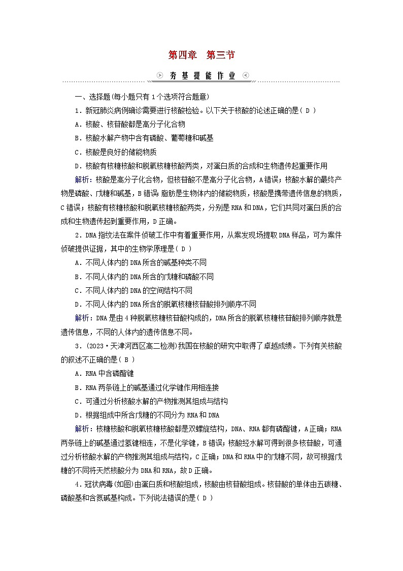 新教材适用2023_2024学年高中化学第4章生物大分子第3节核酸提能作业新人教版选择性必修3第1页