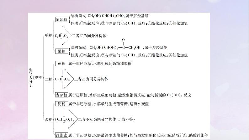 新教材适用2023_2024学年高中化学第4章生物大分子章末素能提升课件新人教版选择性必修305