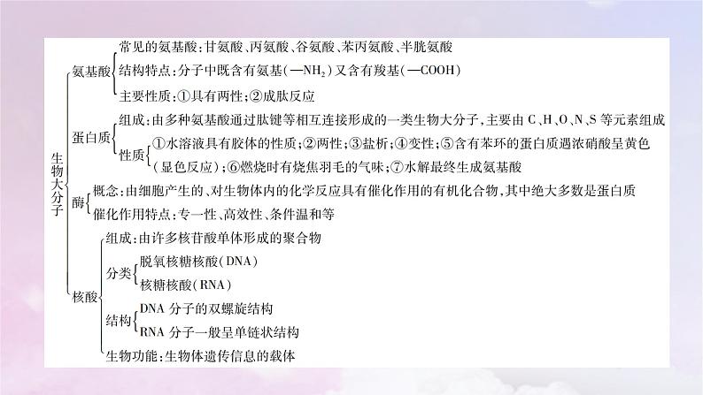 新教材适用2023_2024学年高中化学第4章生物大分子章末素能提升课件新人教版选择性必修306