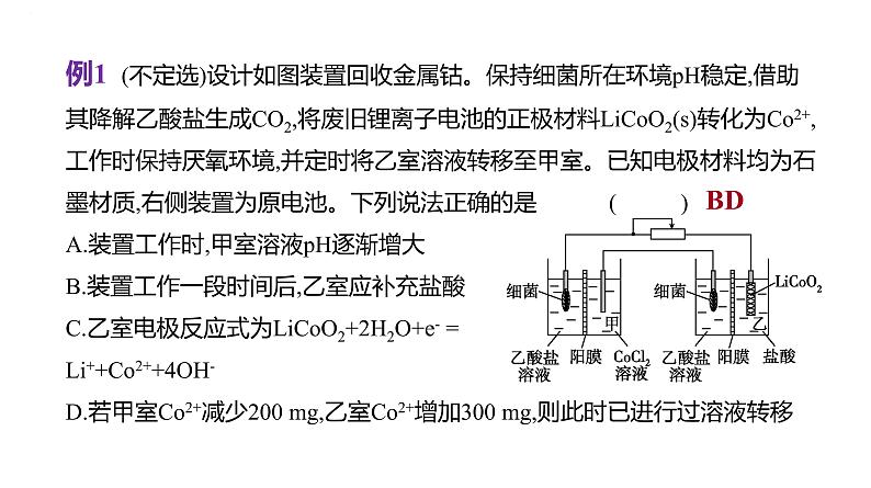 2024届高三化学一轮复习课件:模型认知——电化学中的“多池”与“多室”第5页