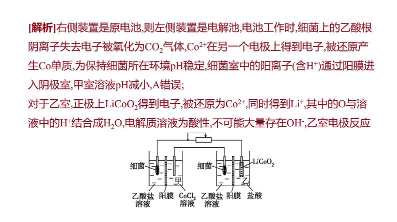 2024届高三化学一轮复习课件:模型认知——电化学中的“多池”与“多室”第6页