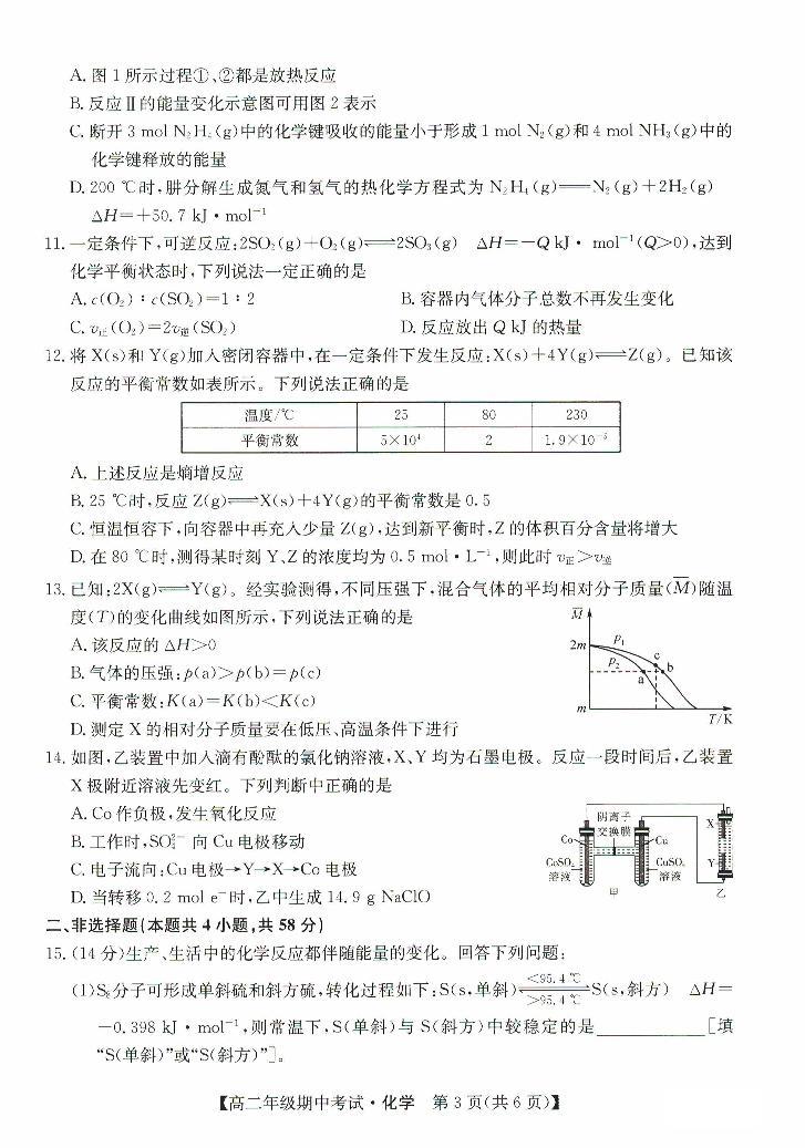 2024沧州运东七县高二上学期期中联考试题化学PDF版含答案03
