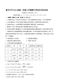 广东省惠州市惠州中学2023-2024学年高一上学期期中考试化学试卷