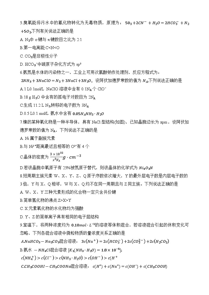 2024重庆市南开中学高三上学期11月月考化学试题含答案02