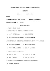 四川省达州外国语学校2023-2024学年高一上学期期中考试化学试题（含答案）