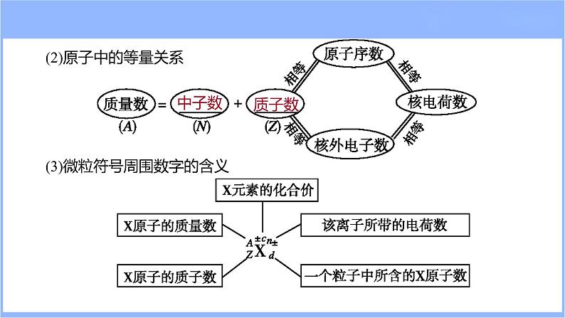 5.1 原子结构 原子核外电子排布(课件)-2024年高考化学一轮复习课件(全国通用)06