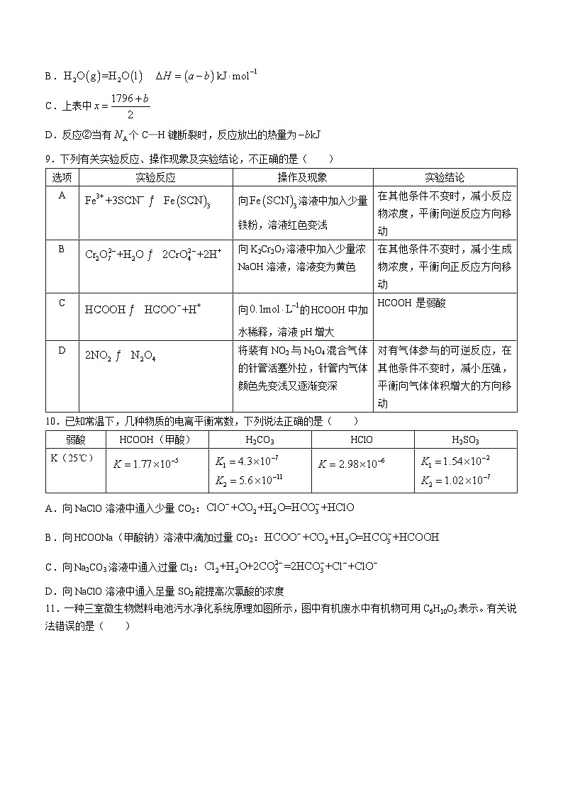 廣西南寧市第二中學(xué)2023-2024學(xué)年高二上學(xué)期11月期中考試化學(xué)試題(無答案)第3頁(yè)