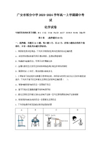 四川省广安市部分中学2023-2024学年高一上学期期中考试化学试卷（含答案）