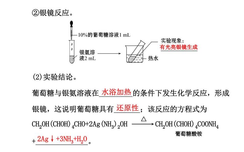 高二化学1.1生命的基础能源——糖类课件及练习题含答案详解07