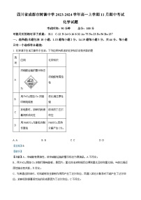 四川省成都市树德中学2023-2024学年高一上学期期中化学试题（Word版附解析）