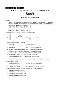 2024重庆市缙云教育联盟高三上学期11月月考试题化学含答案