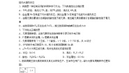 高中化学沪科技版（2020）必修第一册元素周期律课后测评