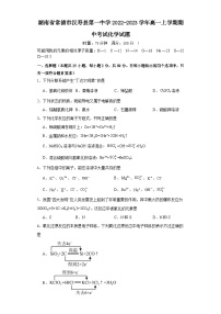 湖南省常德市汉寿县第一中学2022-2023学年高一上学期期中考试化学试卷（Word版附答案）