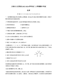 上海市上交附高2023-2024学年高二上学期期中考试化学试题（含答案）
