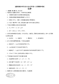 江西省宜春市部分中学2023-2024学年高一上学期期中考试化学试题（含答案）