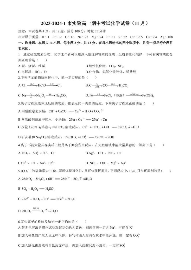 湖南省长沙市实验中学2023-2024学年高一上学期期中考试化学试题01