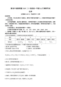 河南省TOP二十名校2023-2024学年高一上学期12月调研考试化学试题