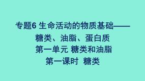 高中化学专题6生命活动的物质基础——糖类、油脂、蛋白质第一单元糖类和油脂第一课时糖类课件苏教版（2019）选择性必修3