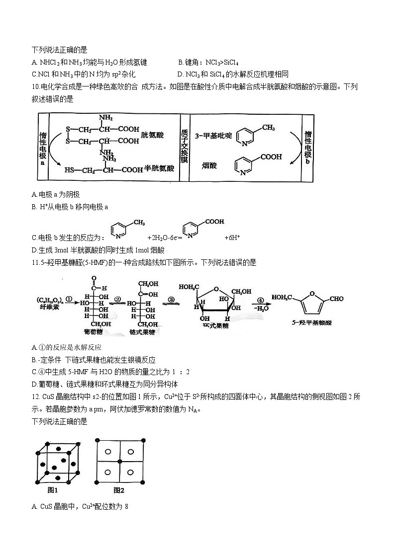 湖北省腾云联盟2023-2024学年高三上学期12月联考化学试题第3页