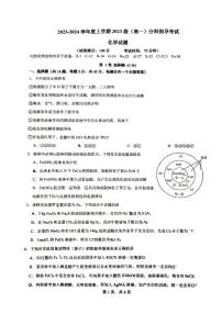 广西柳州市高中2023-2024学年高一上学期12月分科指导考试化学试卷（含答案）