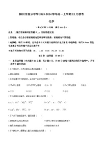 广西柳州市部分中学2023-2024学年高一上学期12月联考化学试题（含答案）