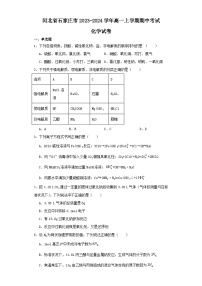 河北省石家庄市2023-2024学年高一上学期期中考试化学试卷（含解析）
