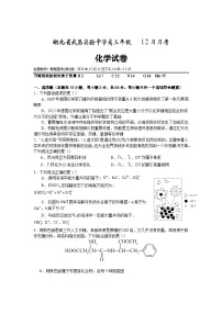 湖北省武昌实验名校2023-2024学年高三上学期12月月考化学试卷