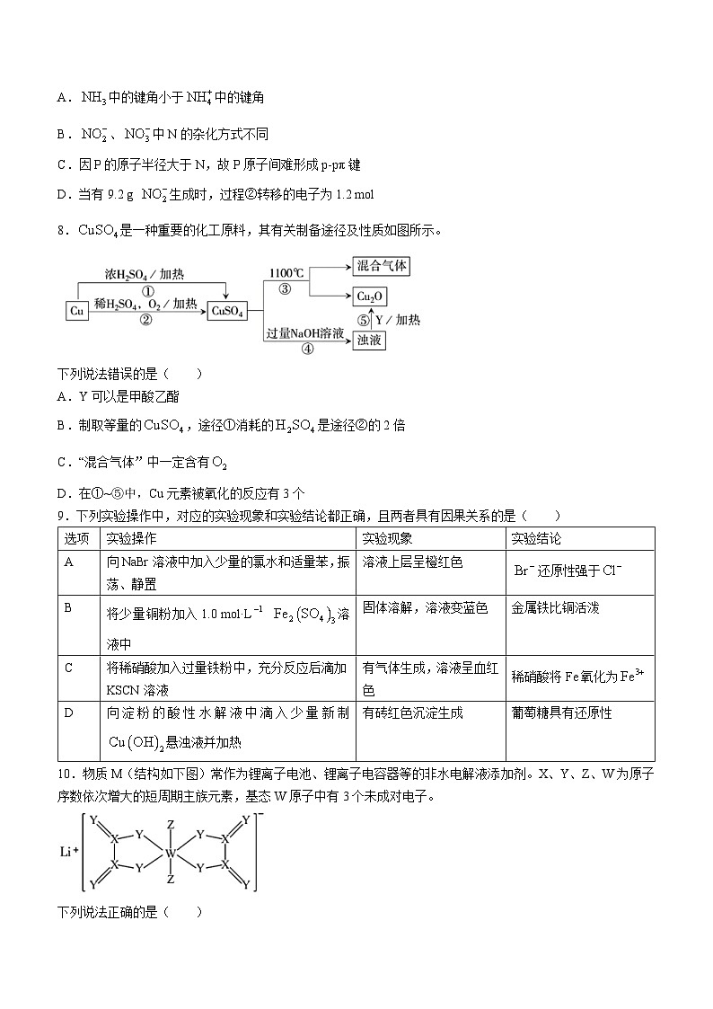 河南省濮阳市第一高级中学2023-2024学年高三上学期期中质量检测化学试题第3页