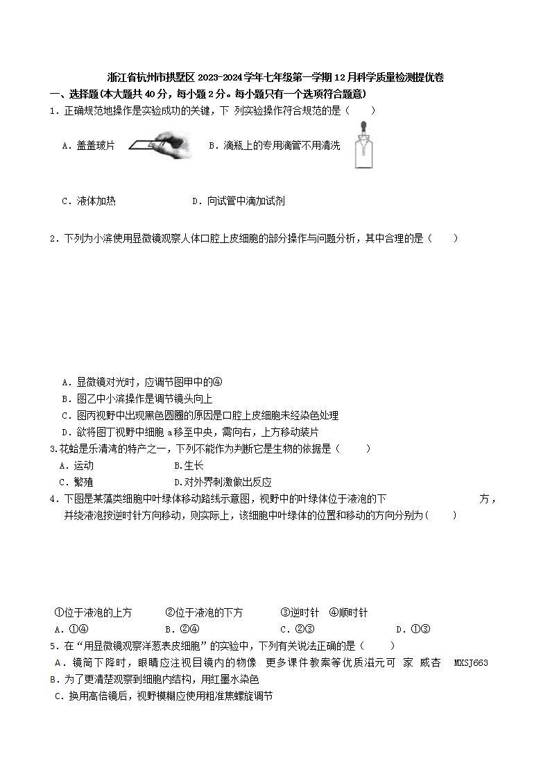 北京市陈经纶中学2023-2024学年高二上学期12月月考化学试卷01