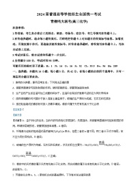 河南省青桐鸣大联考2023-2024学年高三上学期12月月考化学试卷