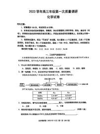 上海市嘉定区第二中学2023-2024学年高三上学期第一次质量调研化学试卷