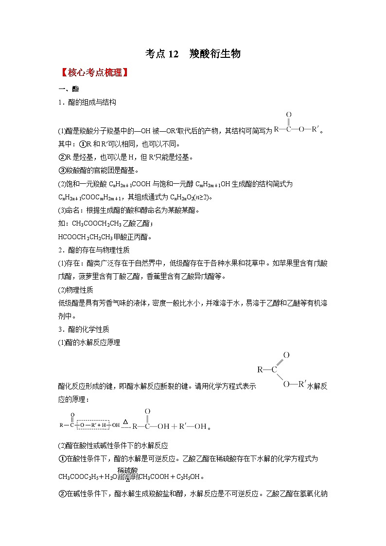 考点12 羧酸衍生物 (原卷版)第1页