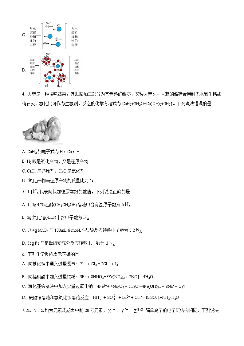 辽宁省东北育才少儿部2022-2023学年高一上学期期末考试化学试题(含答案解析)02