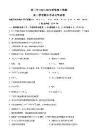黑龙江省哈尔滨市第三中学校2022-2023学年高一上学期期末考试化学试题（含答案解析）