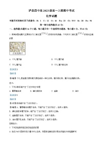四川省泸县第四中学2023-2024学年高一上学期11月期中考试化学试题（Word版附解析）