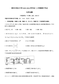 江苏省泰州市重点中学2023-2024学年高三上学期期中考试化学试题（含答案）