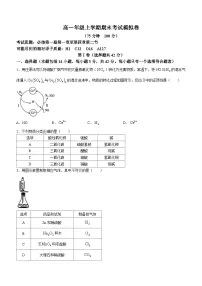 甘肃省白银市靖远县第二中学2023-2024学年高一上学期12月期末化学试题